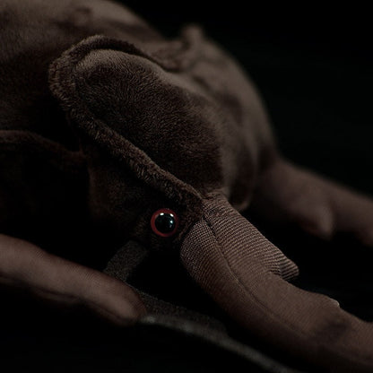 Stag Beetle Plush