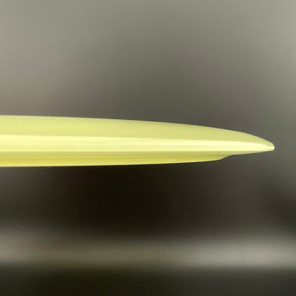 Proto Glow Champion Tern