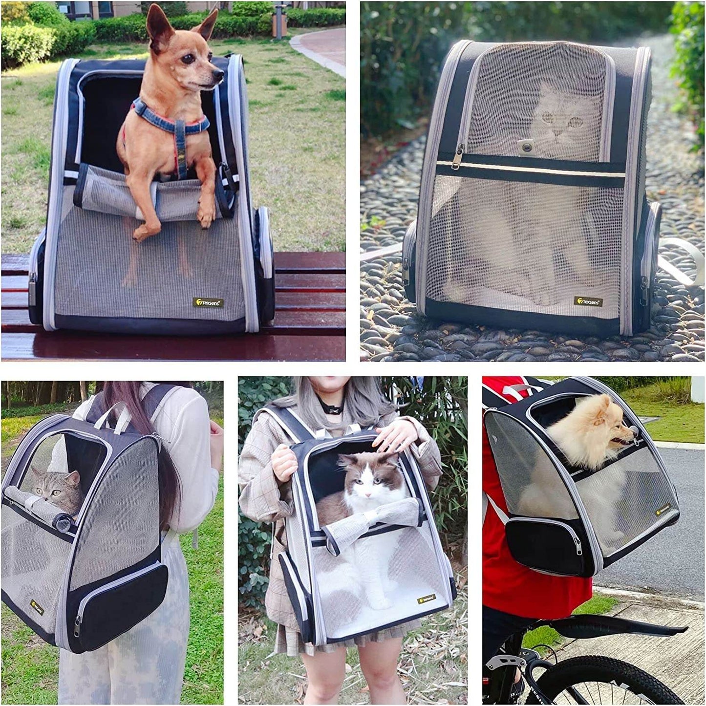 Bubble Travel Carrier