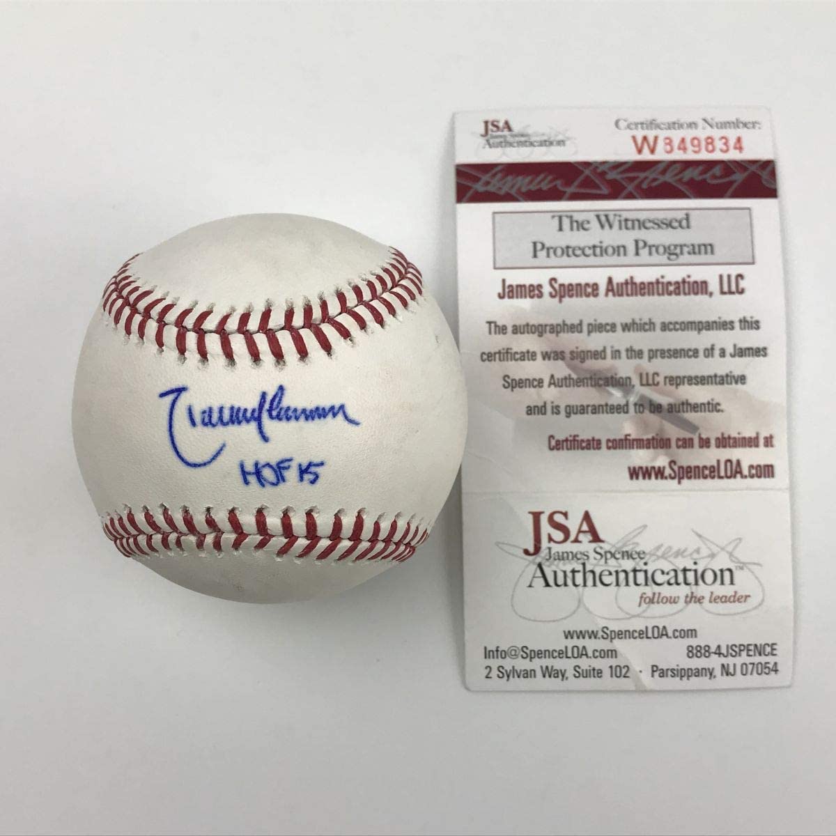 Autographed/Signed Randy Johnson HOF 15 Rawlings Official Major League Baseball ROML JSA COA Auto