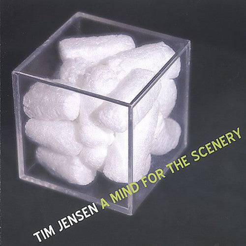 Tim Jensen - A Mind For The Scenery Music CD