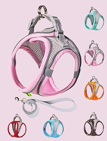 4.6 Ft Dog Leash Reflective Step-in Dog Harness - Breathable Mesh, Soft Padded Vest for Small to Medium Dogs & Cats, Machine Washable, Size S, Pink-Grey
