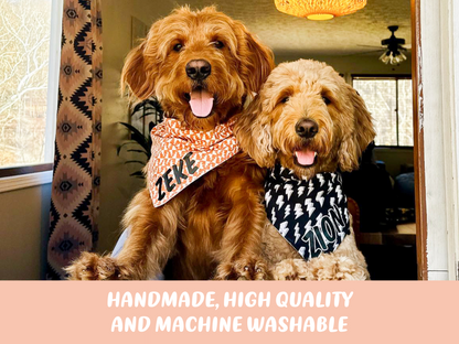 "Desert Daisies" Dog Bandana