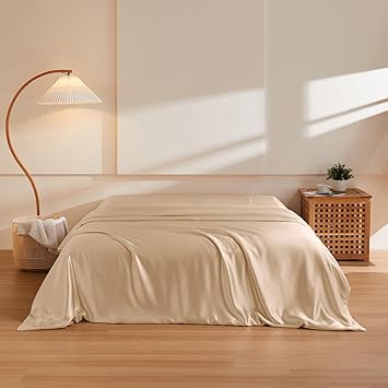 THXSILK Silk Champagne Duvet Cover 1 Pack, 100% 6A+ Top Grade Mulberry Silk Soft Smooth Cooling Sheet Upscale Series Quilt Comforter Cover with Zipper Closure&Corner Ties, Queen