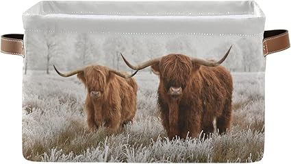 Scottish Highland Cow Storage Basket Fabric Storage Bin Baskets Bull Farmhouse Funny Animal Foldable Storage Boxes Bag for Baby Cloth Dog Toy Book Storage Cubes Shelf Closet Basket 16’ã12’ã8 Inches