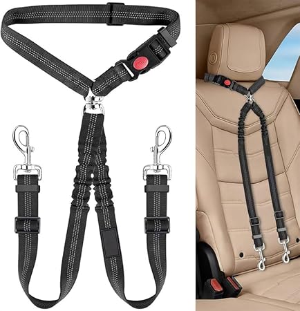 Pet Rope Safety Leash, pet seat Belt, Circular Ring, Stretchable, Elastic, Reflective Dog Chain, Dog Leash one Tow Two for Small, Medium Cats and Dogs, Black