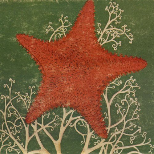 Blithe Sons - Arm of the Starfish Music CD