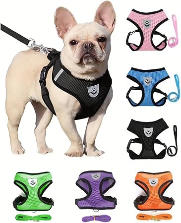 Dog Harness - All Weather Mesh, Reflective, 4 Ft Traction Rope¥_ëNo Pull Harness for Small, Medium Dogs, Cats - Secure with Hook & Loop Fastener, Buckle, Double D-Rings, L, Black