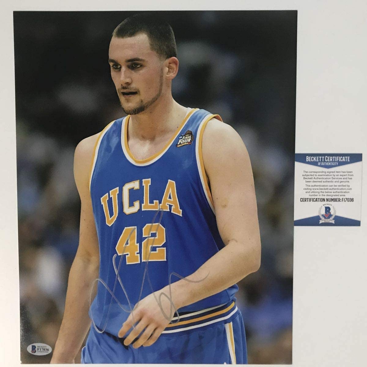 Autographed/Signed Kevin Love UCLA Bruins 11x14 College Basketball Photo JSA COA