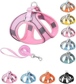 Reflective Step-in Dog Harness - Breathable Mesh, 5 Ft Towing Rope¥_ëSoft Padded Vest for Small to Medium Dogs & Cats, Machine Washable, XS, Pink