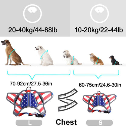 USA Patriotic Star Dog Harness+Leash Set