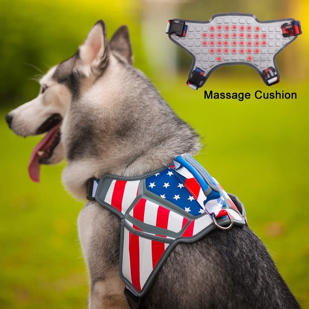 USA Patriotic Star Dog Harness+Leash Set