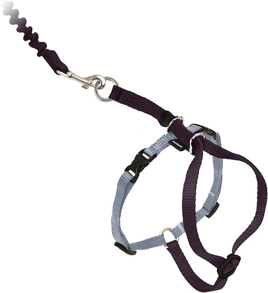 Come With Me Kitty Cat Harness & Bungee Leash Medium Black