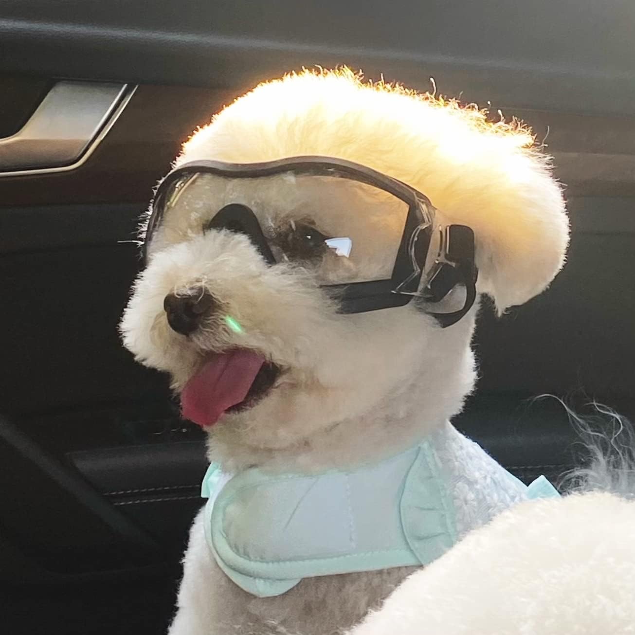 Dog goggles anti UV skiing sunglasses