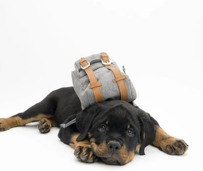 Mini Adventure Dog Backpack – Stylish & Functional