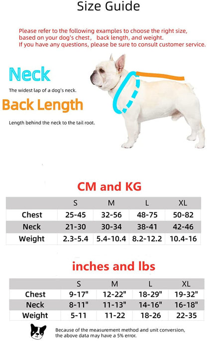 Luxury Red Lips Breathable Mesh Harness Chest Back + Traction