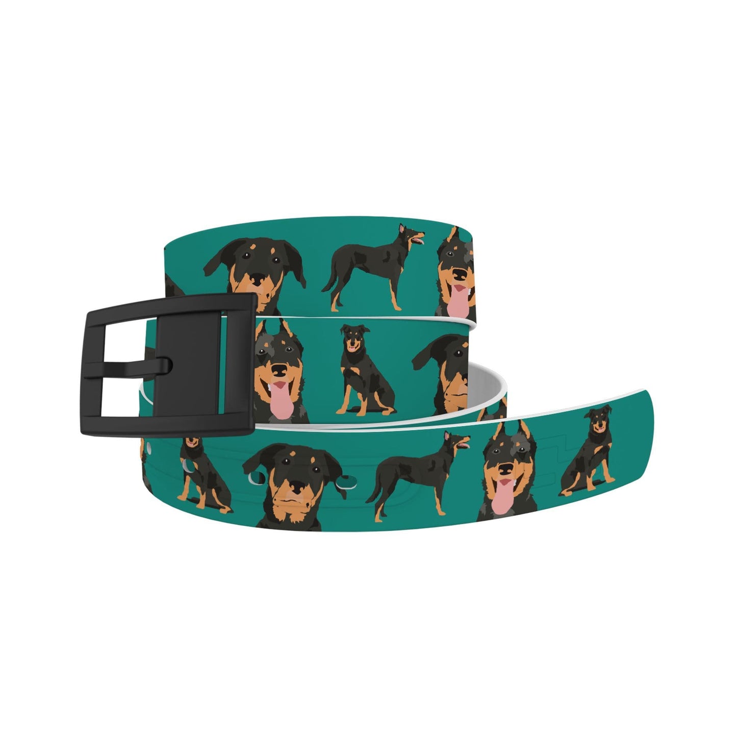 Beauceron Belt