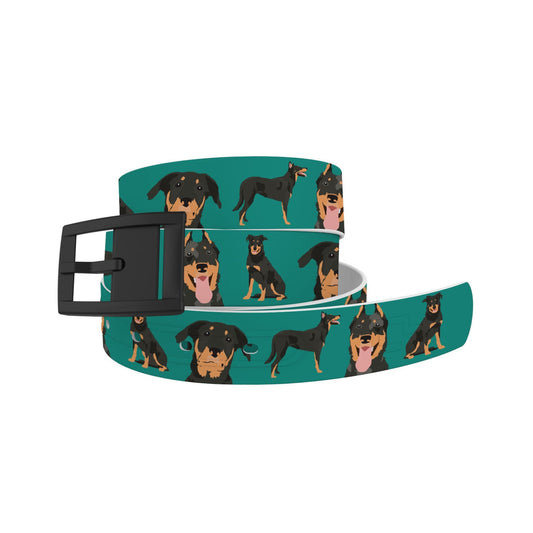 Beauceron Belt