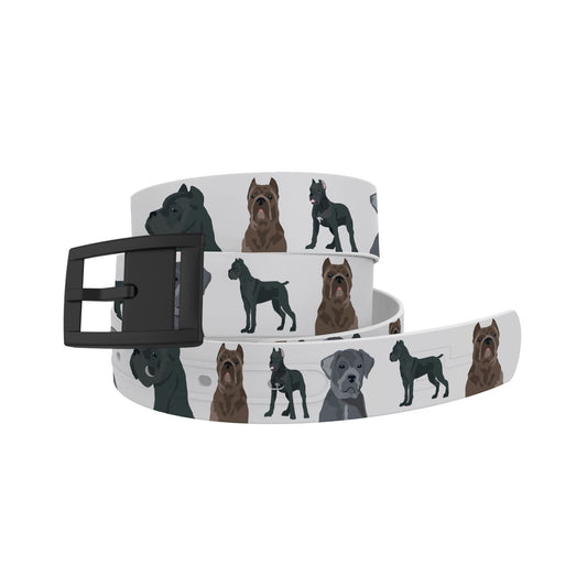 Cane Corso Belt