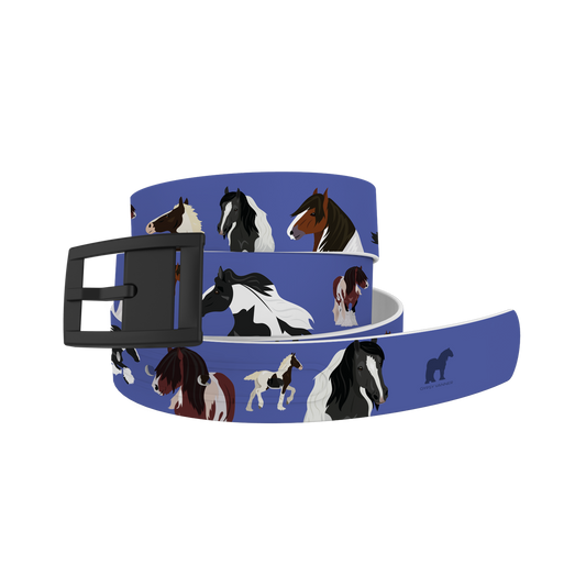 Gypsy Vanner Belt