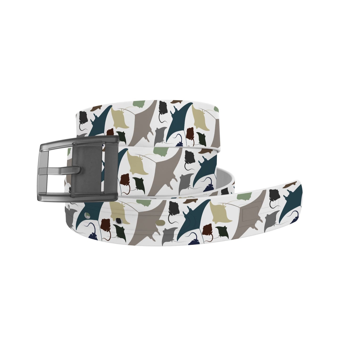 Rays Belt