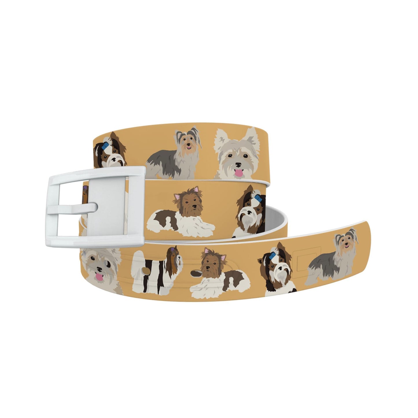 Biewer Terrier Belt