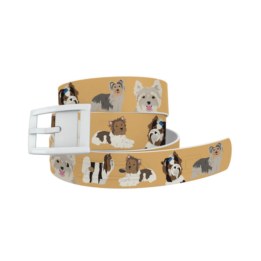 Biewer Terrier Belt