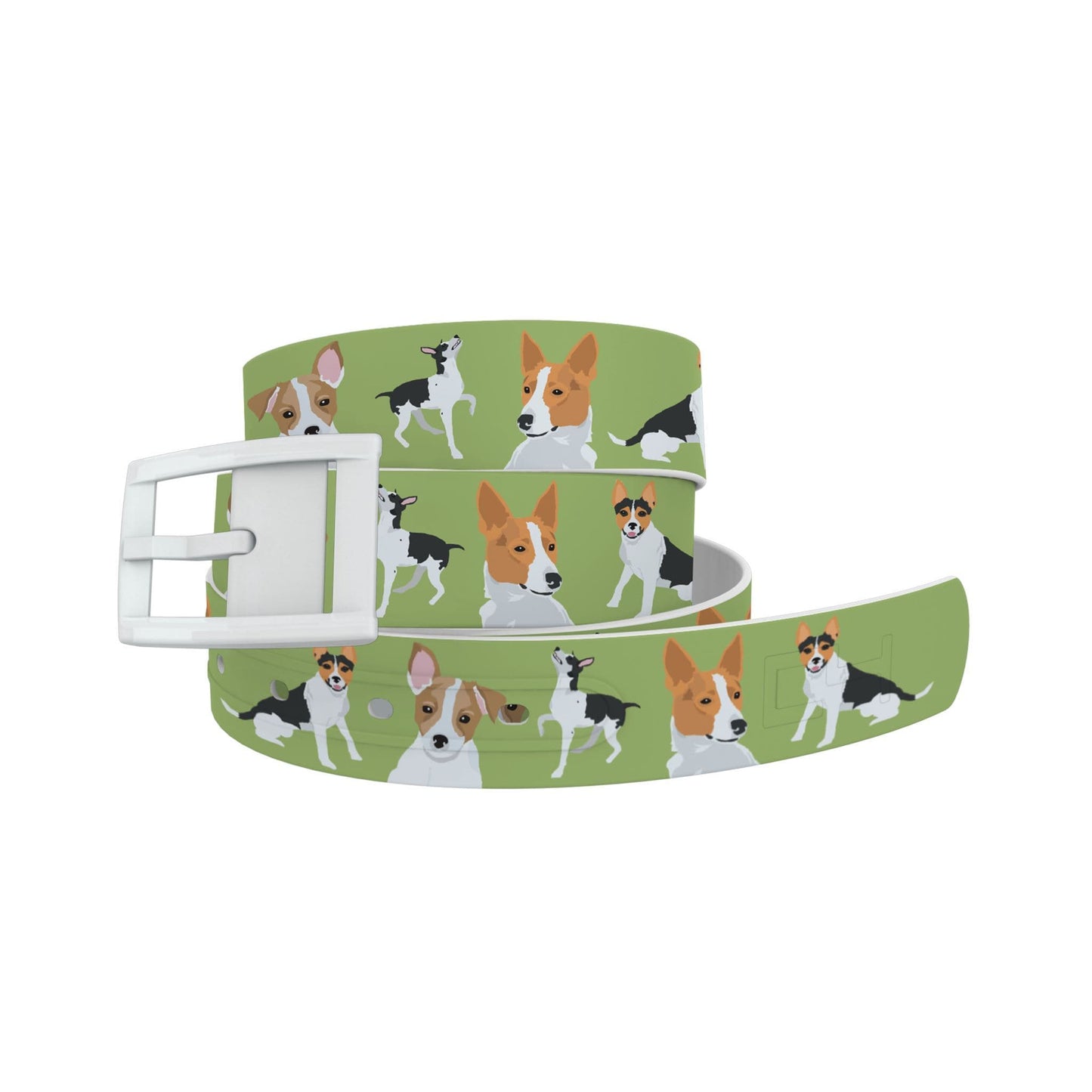 Rat Terrier Belt