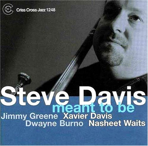 Steve Davis - Meant to Be Music CD