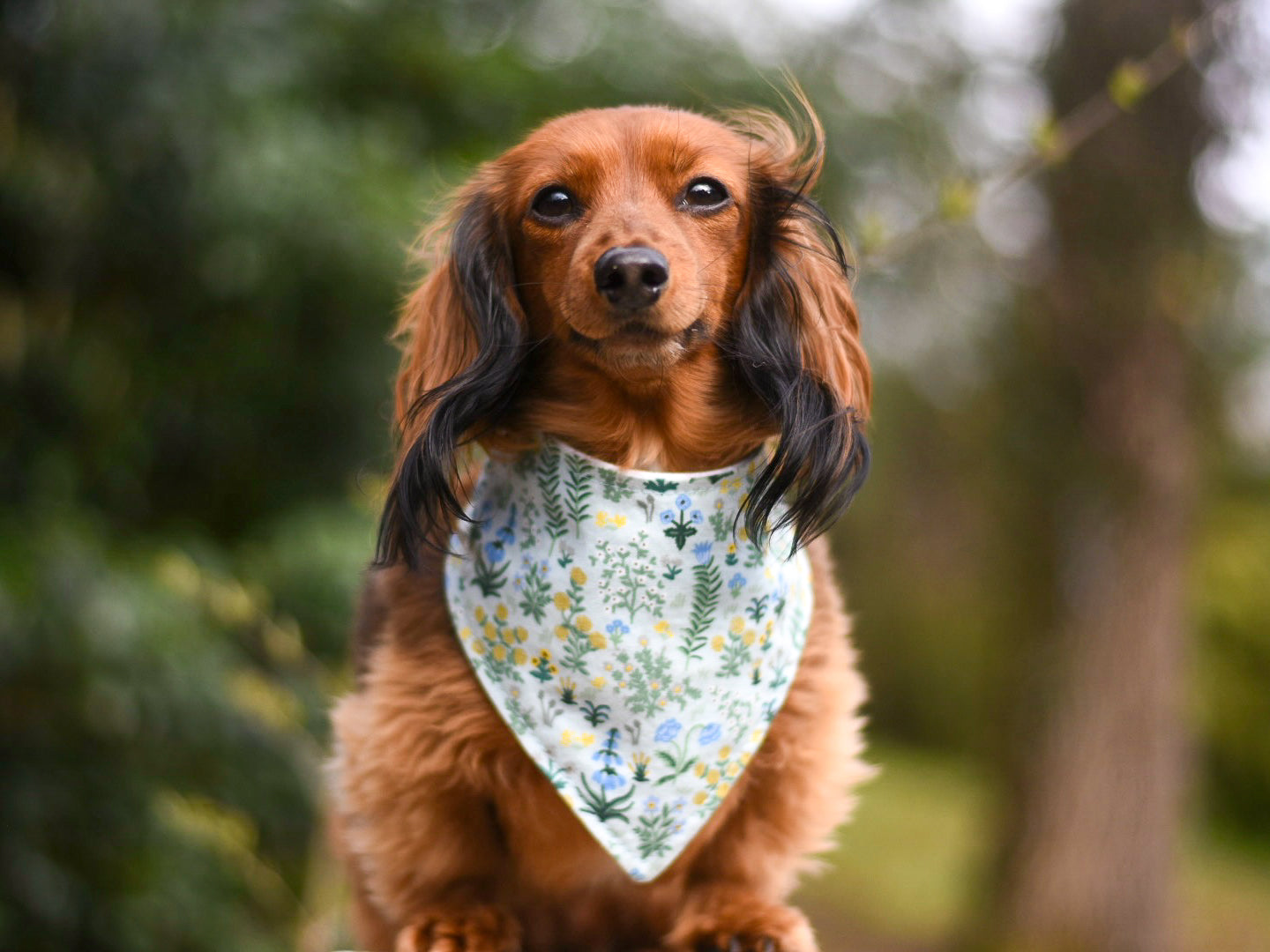 "Holly" Dog Bandana