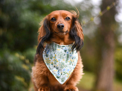 "Barkday on Pink" Dog Bandana
