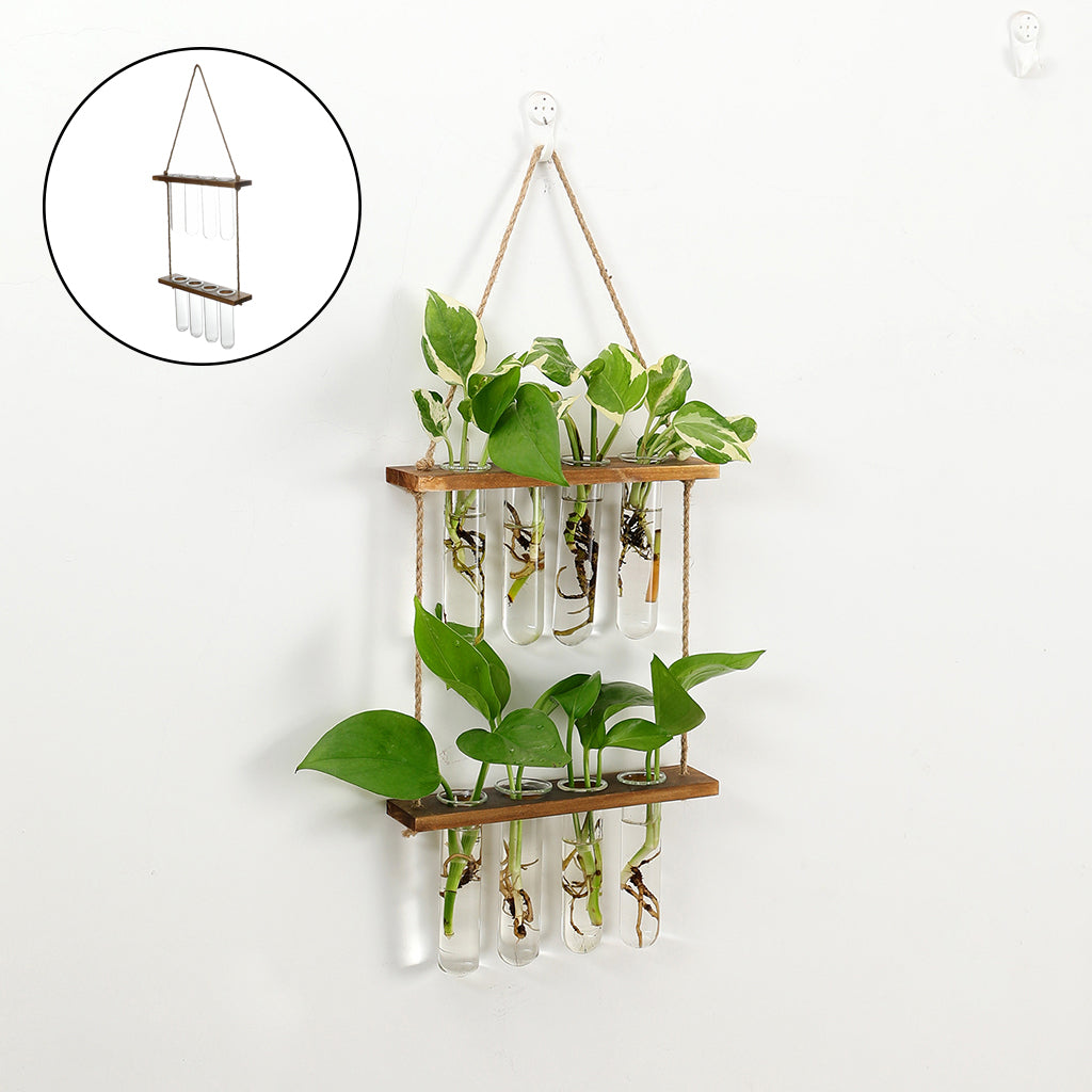 Wall-Hanging Test Tube Plant Propagation Station