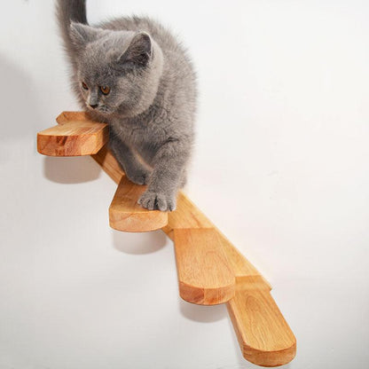 Wall-mounted Cat Climbing Ladder