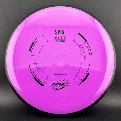 Neutron Spin