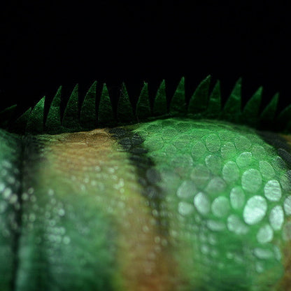 Green Iguana Plush