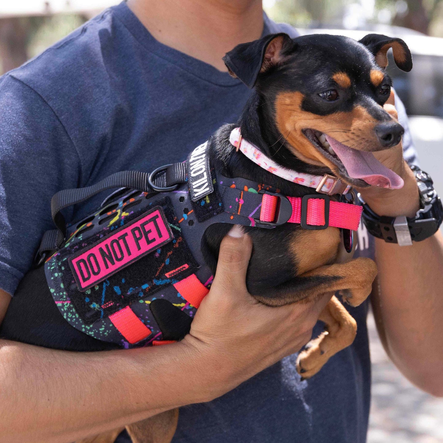 Do Not Pet (Pink) Morale Patch