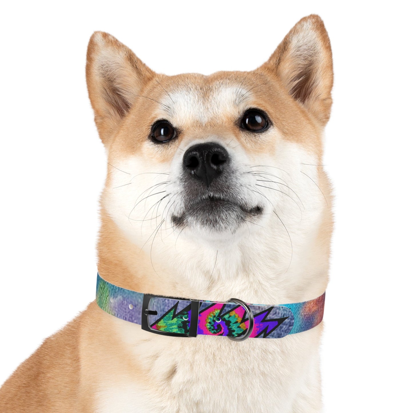 Bolt Dog Collar