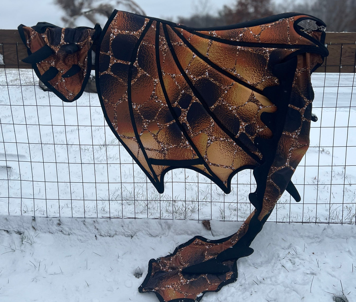 LAST CALL - Dragon Wings