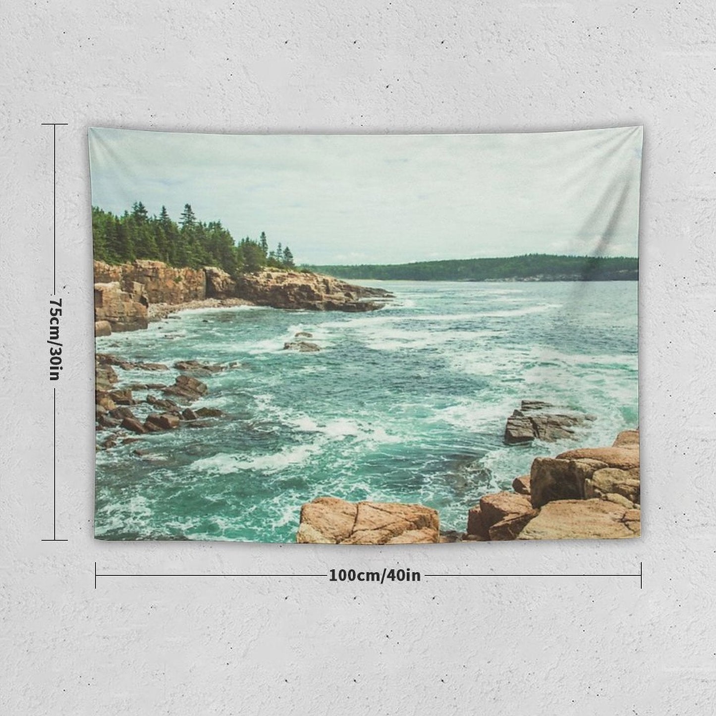 Acadia Coastline - National Park Ocean Tapestry