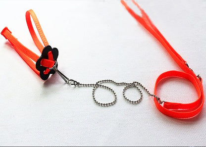 Adjustable Reptile Leash & Harness Kit