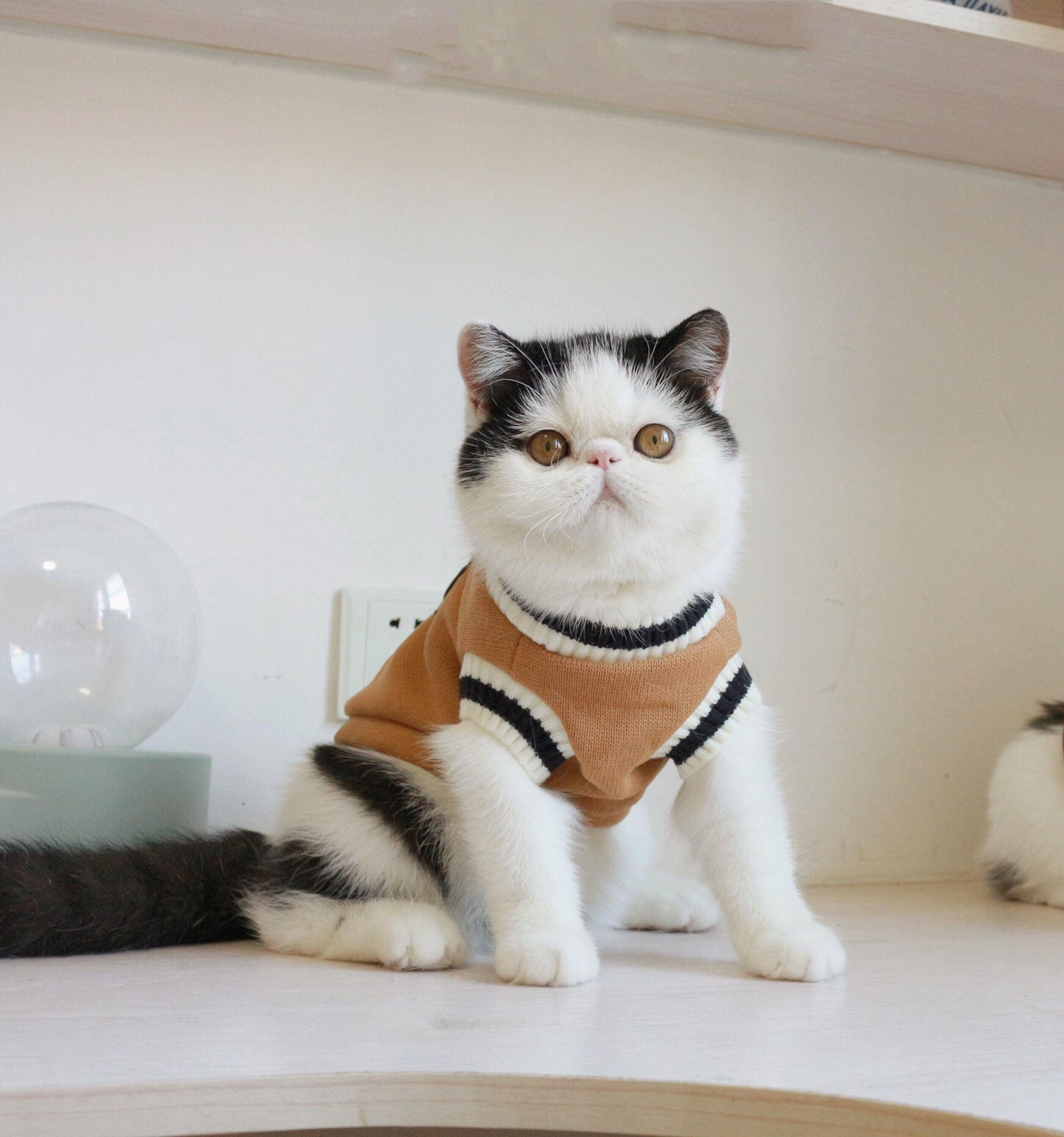 Fleece Knit Sleeveless Sweater for Cat