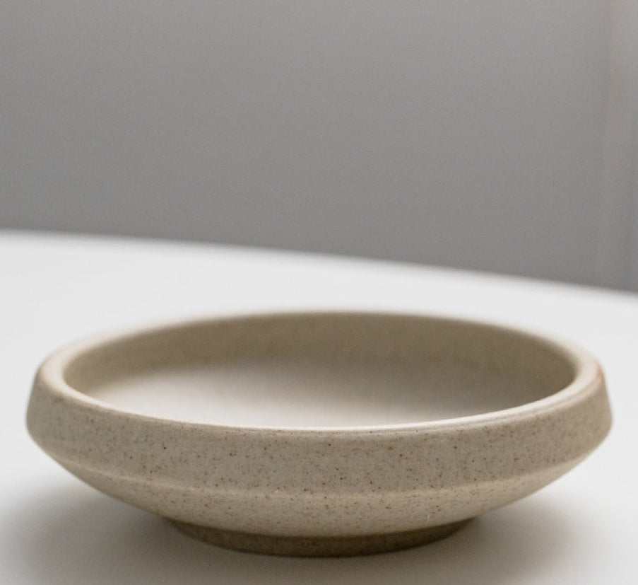 Earthy Oblique Ceramic Reptile Dish
