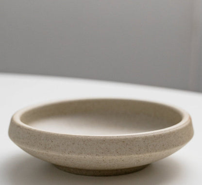 Earthy Oblique Ceramic Reptile Dish
