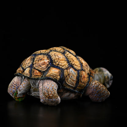 African Tortoise Plush