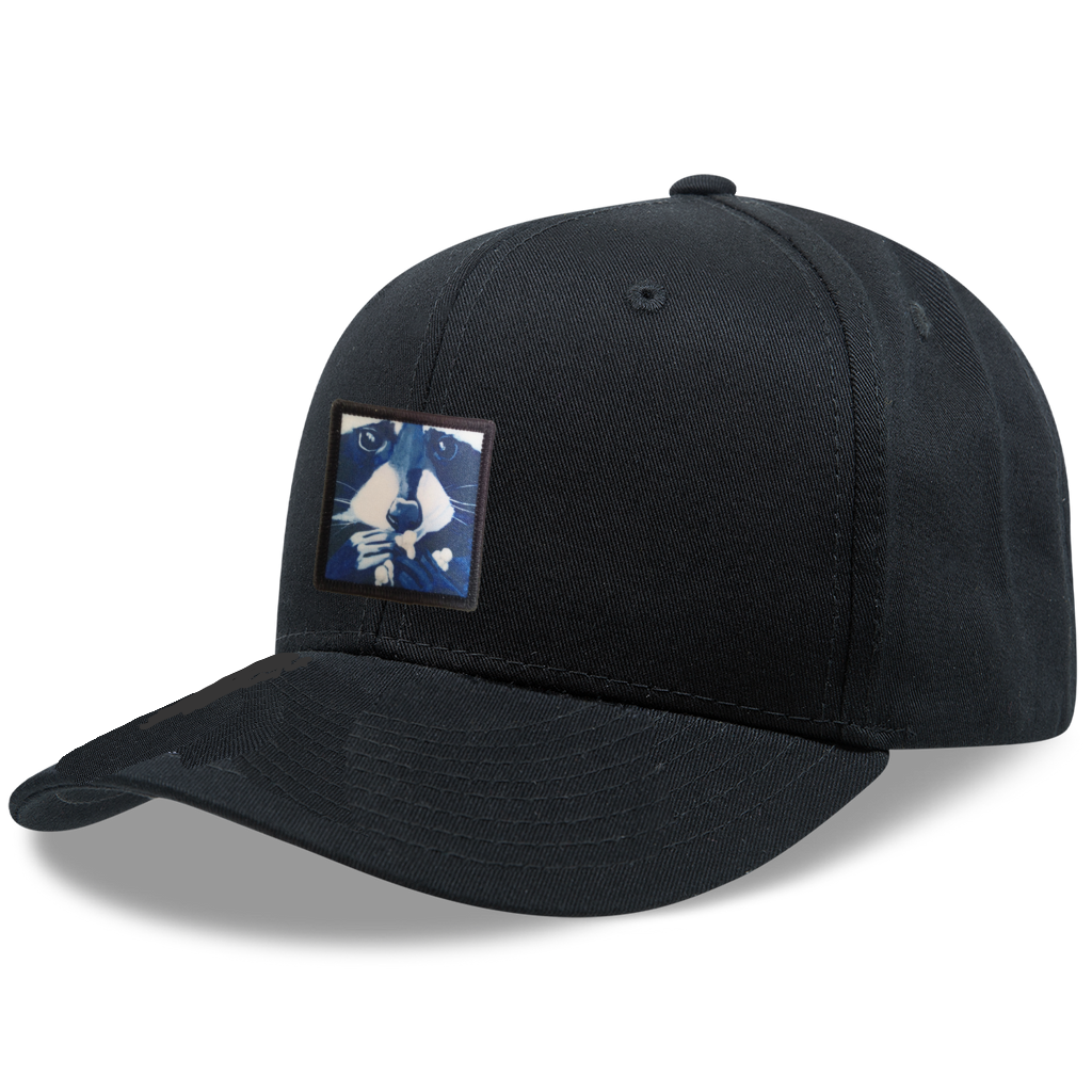 6 Panel Base Ball Cap