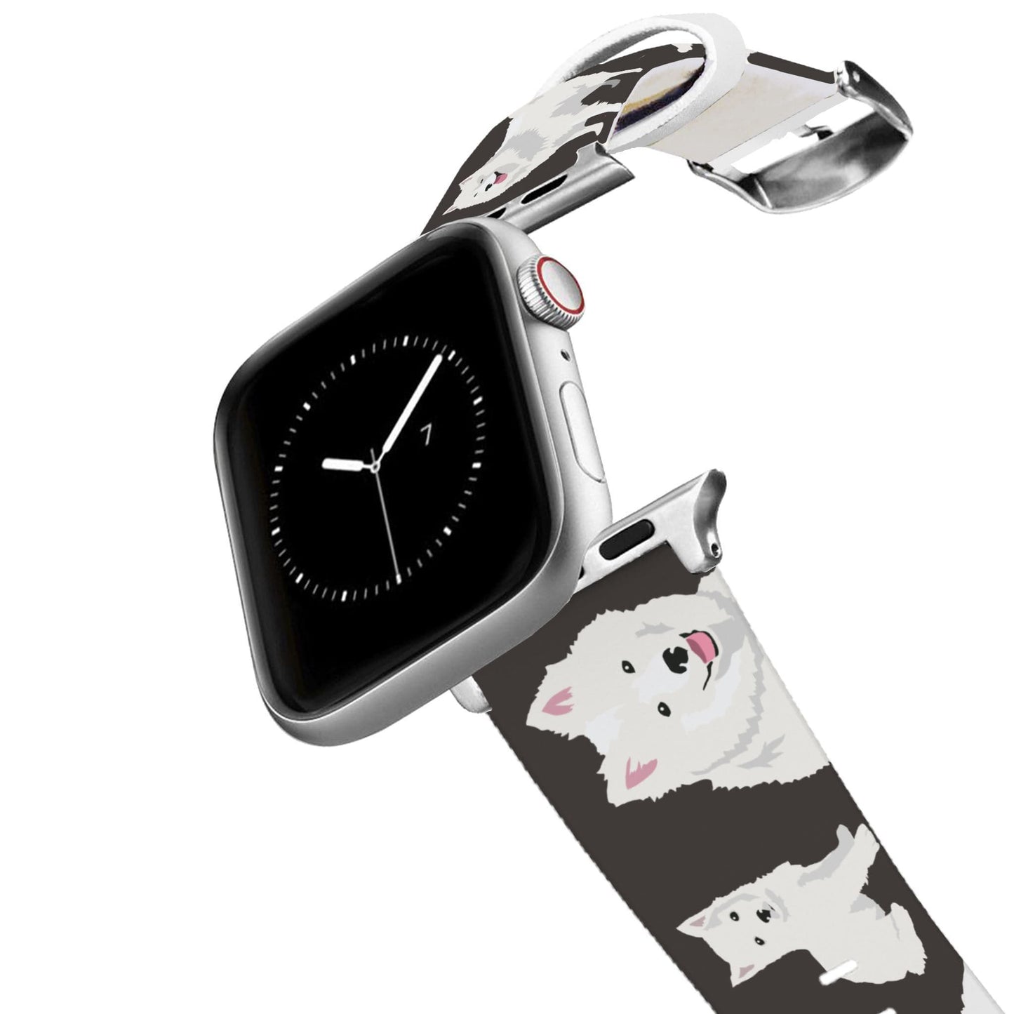 American Eskimo Dog Apple Watch Band