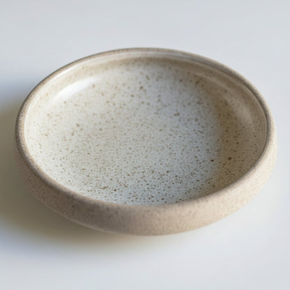 Earthy Oblique Ceramic Reptile Dish
