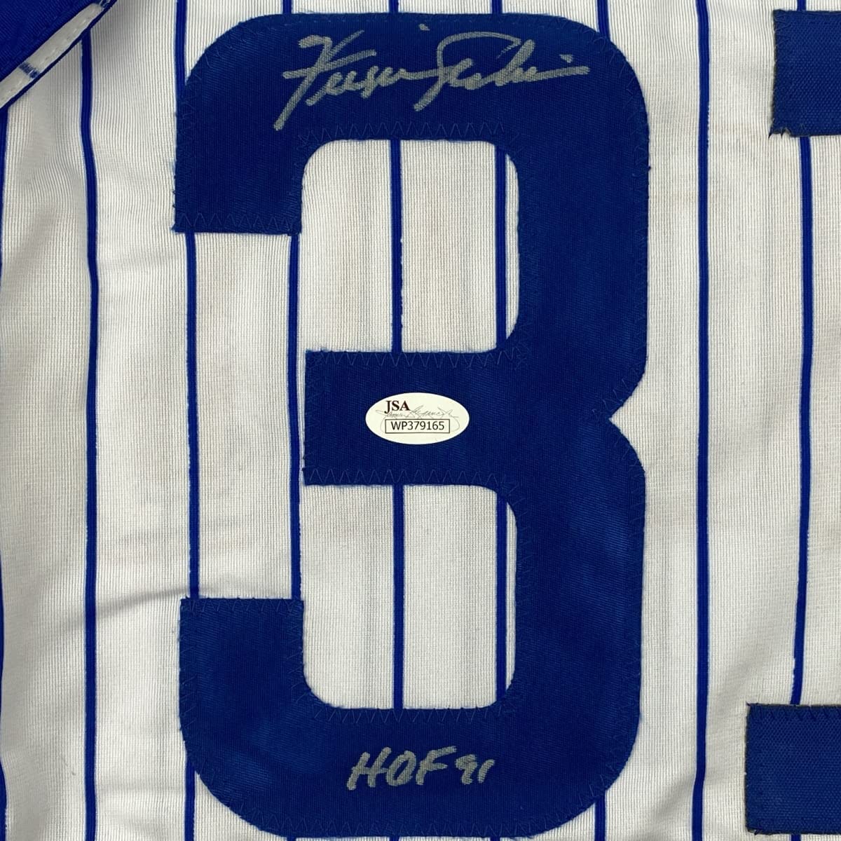 Framed Autographed/Signed Ferguson Fergie Jenkins 35x39 HOF 91 Chicago Pinstripe Baseball Jersey JSA COA