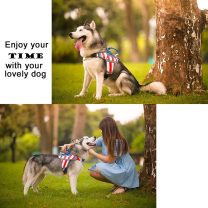 USA Patriotic Star Dog Harness+Leash Set