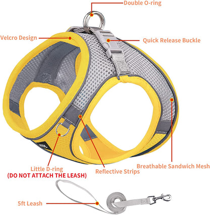 AIITLE Step in Dog Harness and Leash Set - Dog Vest Harness with Super Breathable Mesh, Reflective No-Pull Pet Harness for Outdoor Walking, Training for Small Dogs, Cats Pink XXS